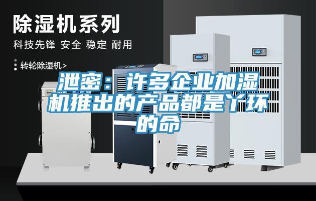 泄密：許多企業(yè)加濕機推出的產品都是丫環(huán)的命