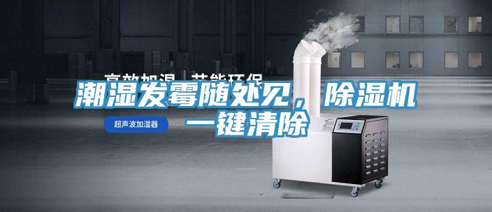 潮濕發(fā)霉隨處見，除濕機一鍵清除