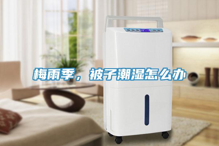 梅雨季，被子潮濕怎么辦