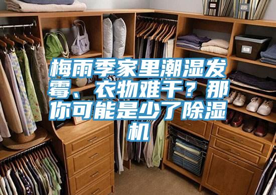 梅雨季家里潮濕發(fā)霉、衣物難干？那你可能是少了除濕機(jī)
