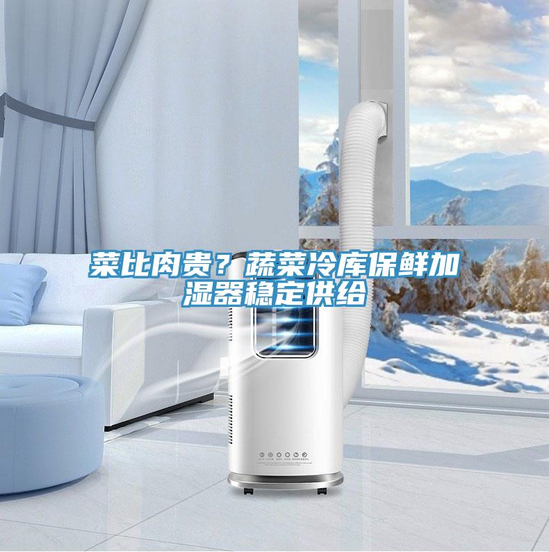 菜比肉貴？蔬菜冷庫保鮮加濕器穩(wěn)定供給