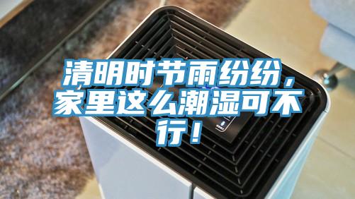 清明時節(jié)雨紛紛，家里這么潮濕可不行！