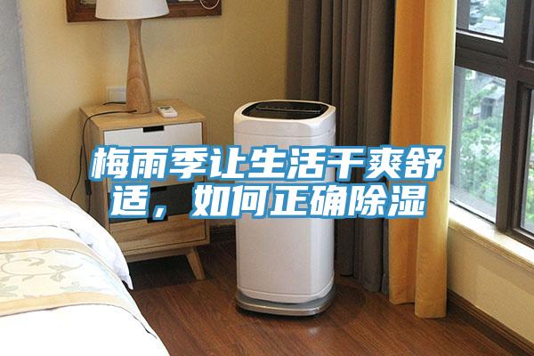 梅雨季讓生活干爽舒適，如何正確除濕