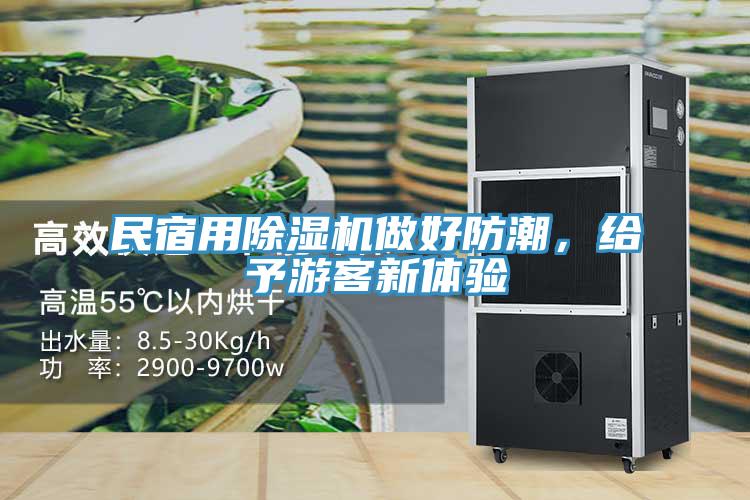 民宿用除濕機(jī)做好防潮，給予游客新體驗(yàn)