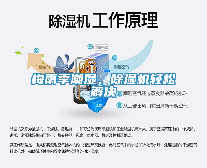 梅雨季潮濕，除濕機輕松解決