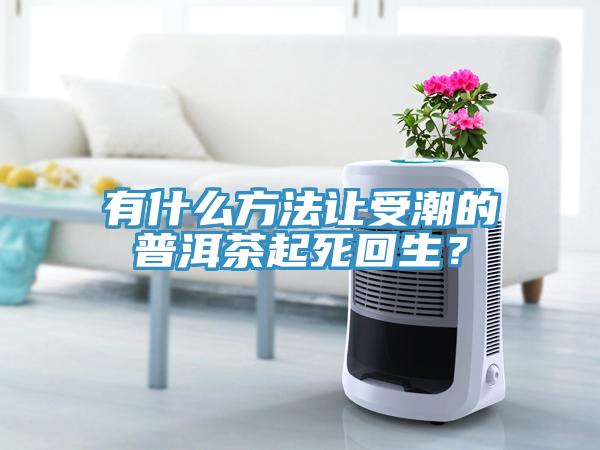 有什么方法讓受潮的普洱茶起死回生？