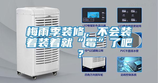 梅雨季裝修，不會裝著裝著就“霉”了吧？