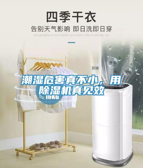 潮濕危害真不小，用除濕機真見效