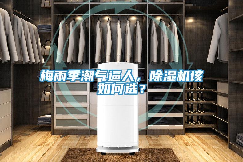 梅雨季潮氣逼人，除濕機該如何選？