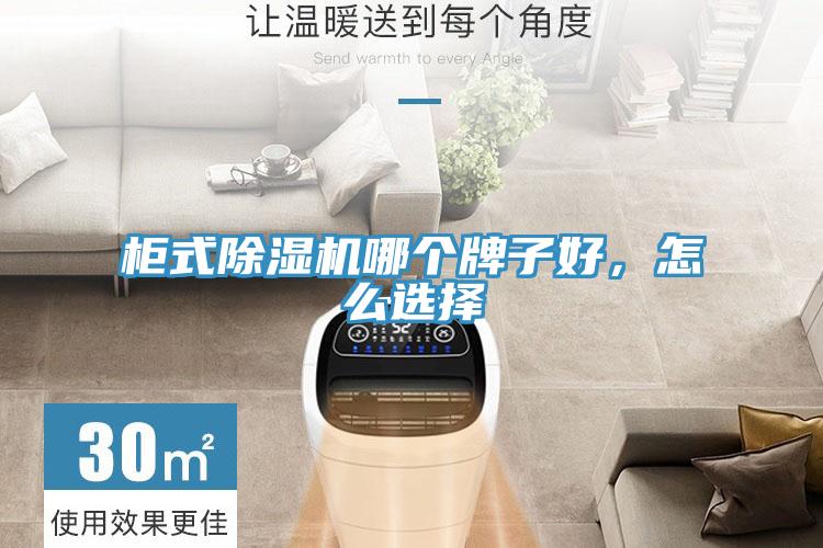 柜式除濕機哪個牌子好，怎么選擇