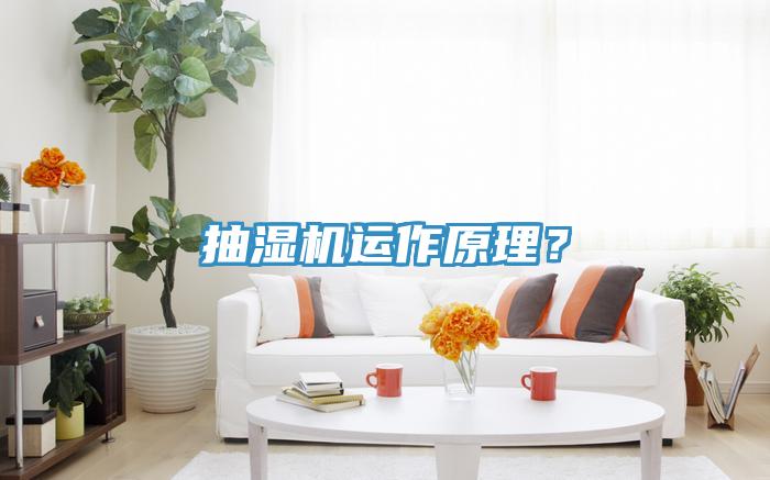 抽濕機運作原理？