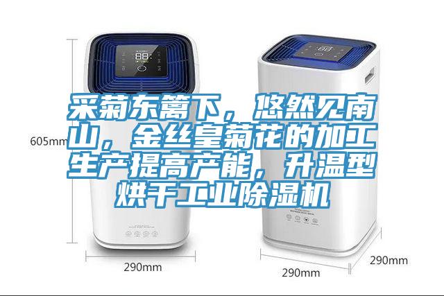 采菊東籬下，悠然見南山，金絲皇菊花的加工生產(chǎn)提高產(chǎn)能，升溫型烘干工業(yè)除濕機(jī)