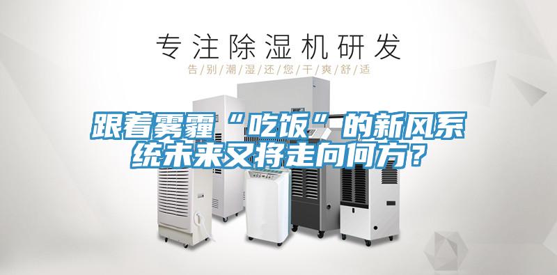 跟著霧霾“吃飯”的新風(fēng)系統(tǒng)未來又將走向何方？