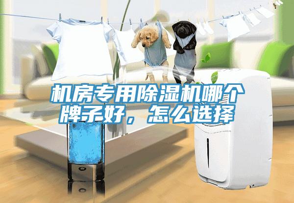 機(jī)房專用除濕機(jī)哪個(gè)牌子好，怎么選擇