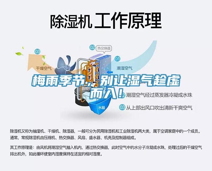 梅雨季節(jié)，別讓濕氣趁虛而入！