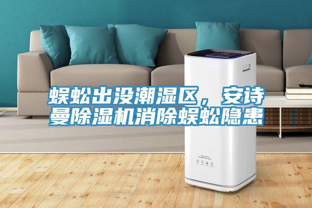 蜈蚣出沒潮濕區(qū)，安詩曼除濕機消除蜈蚣隱患