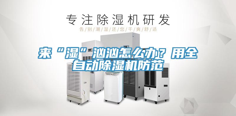 來“濕”洶洶怎么辦？用全自動除濕機(jī)防范