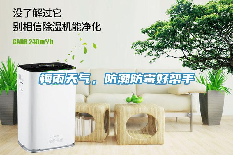 梅雨天氣，防潮防霉好幫手