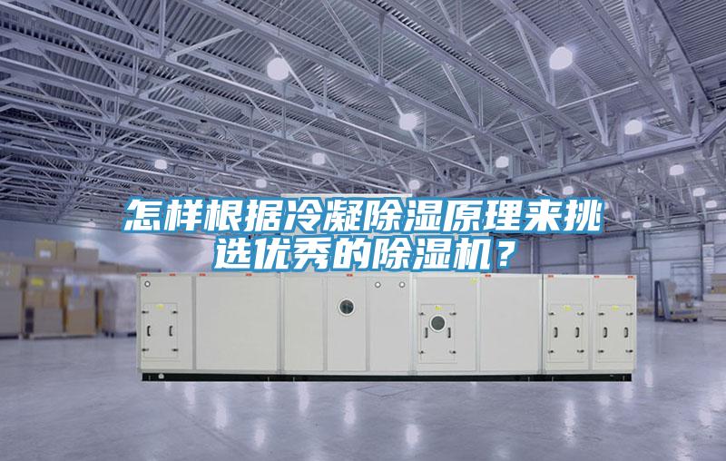 怎樣根據(jù)冷凝除濕原理來(lái)挑選優(yōu)秀的除濕機(jī)？