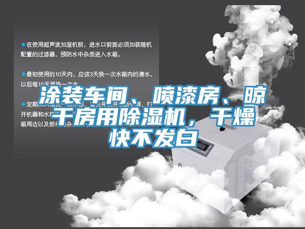 涂裝車間、噴漆房、晾干房用除濕機(jī)，干燥快不發(fā)白