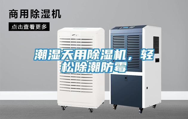 潮濕天用除濕機(jī)，輕松除潮防霉