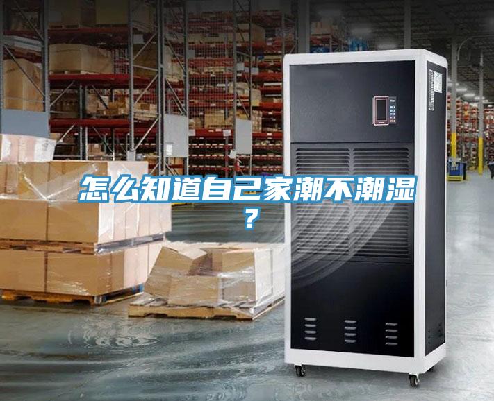 怎么知道自己家潮不潮濕？