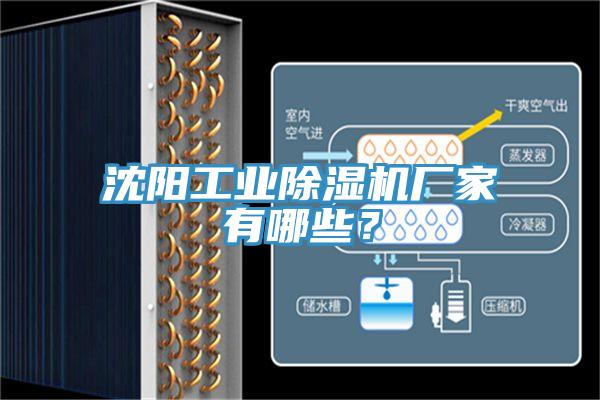 沈陽工業(yè)除濕機廠家有哪些？