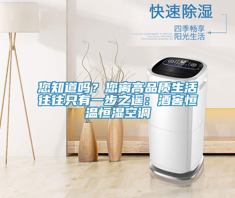 您知道嗎？您離高品質生活往往只有一步之遙：酒窖恒溫恒濕空調