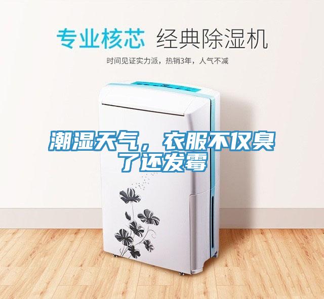 潮濕天氣，衣服不僅臭了還發(fā)霉