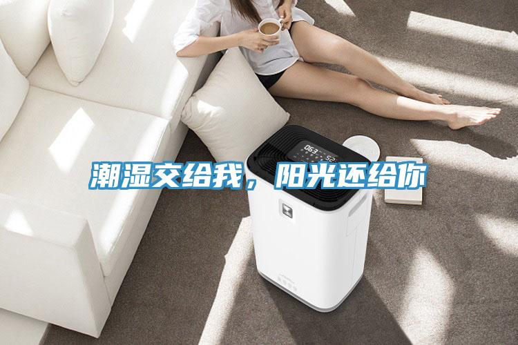 潮濕交給我，陽光還給你