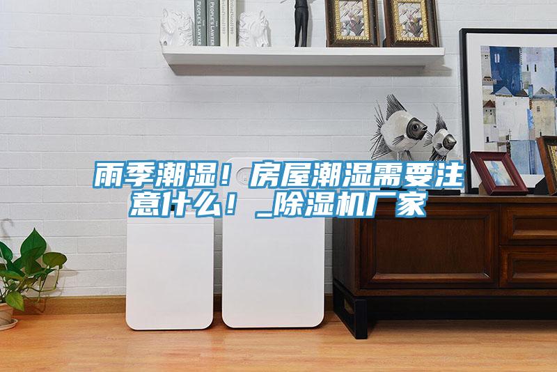 雨季潮濕！房屋潮濕需要注意什么！_除濕機廠家