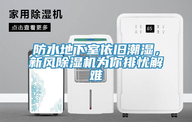防水地下室依舊潮濕，新風除濕機為你排憂解難