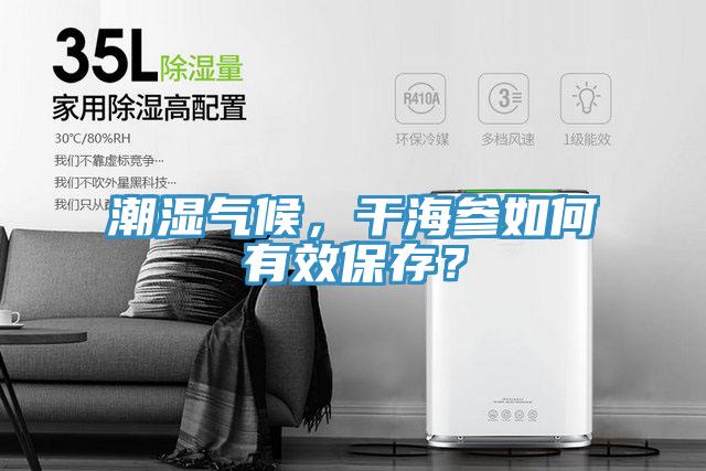潮濕氣候，干海參如何有效保存？