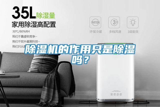 除濕機的作用只是除濕嗎？