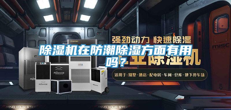 除濕機在防潮除濕方面有用嗎？