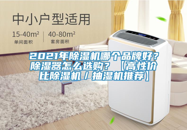 2021年除濕機(jī)哪個(gè)品牌好？除濕器怎么選購(gòu)？【高性價(jià)比除濕機(jī)／抽濕機(jī)推薦】