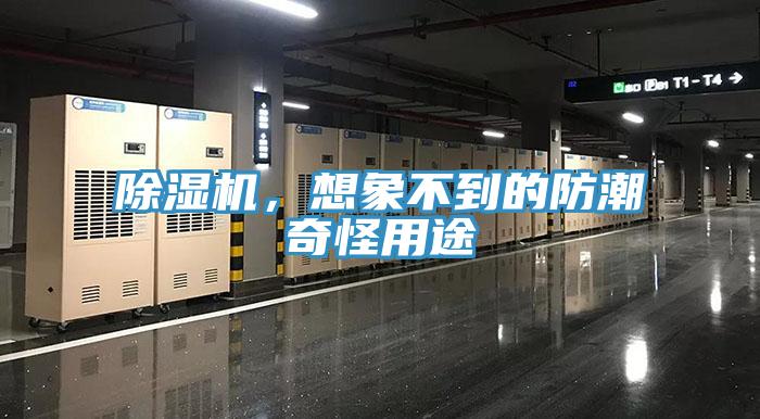 除濕機，想象不到的防潮奇怪用途