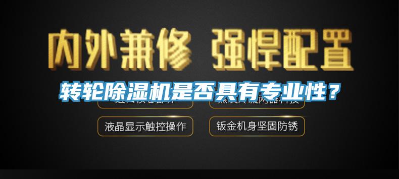 轉(zhuǎn)輪除濕機是否具有專業(yè)性？