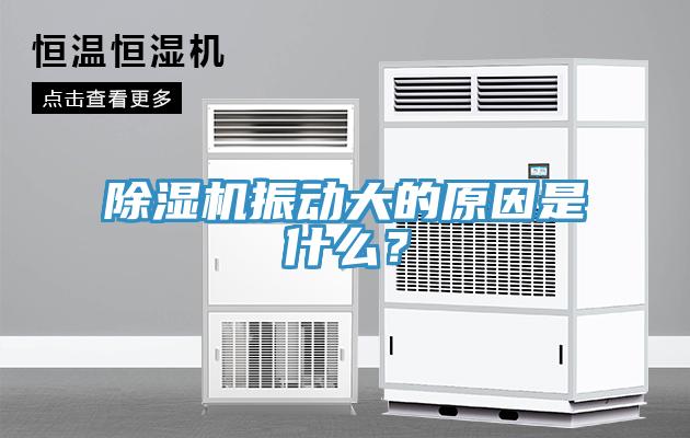 除濕機(jī)振動(dòng)大的原因是什么？