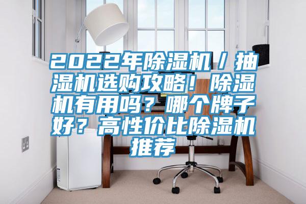 2022年除濕機(jī)／抽濕機(jī)選購攻略！除濕機(jī)有用嗎？哪個(gè)牌子好？高性價(jià)比除濕機(jī)推薦