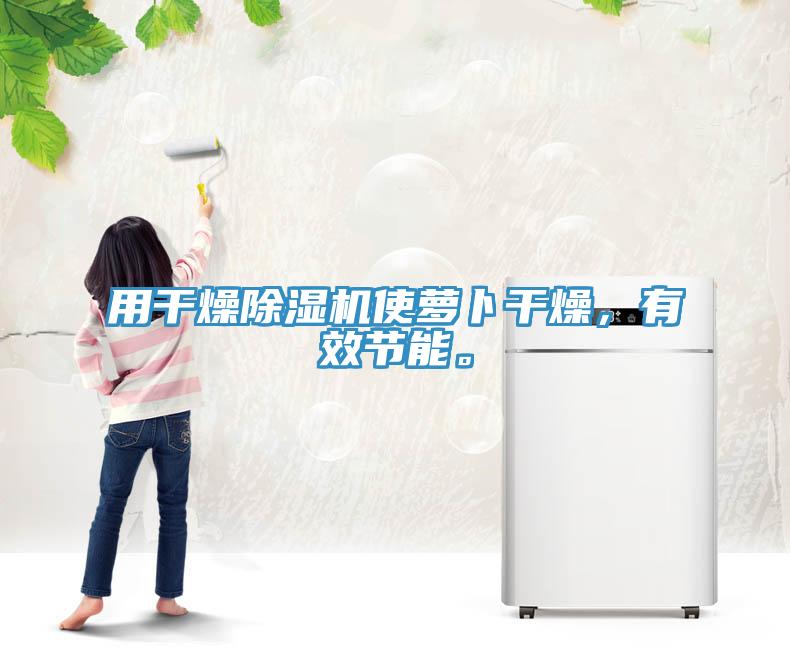 用干燥除濕機(jī)使蘿卜干燥，有效節(jié)能。