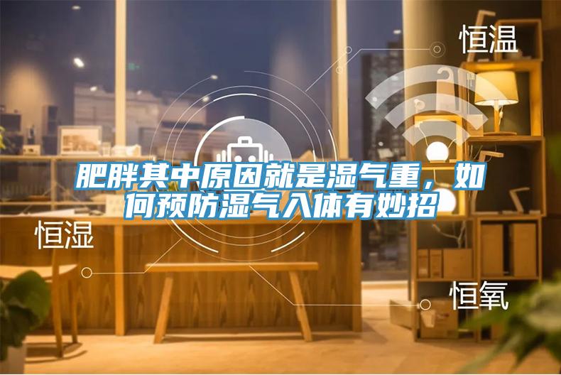 肥胖其中原因就是濕氣重，如何預(yù)防濕氣入體有妙招
