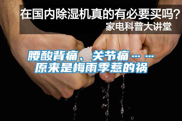 腰酸背痛、關(guān)節(jié)痛……原來是梅雨季惹的禍