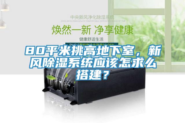 80平米挑高地下室，新風(fēng)除濕系統(tǒng)應(yīng)該怎求么搭建？