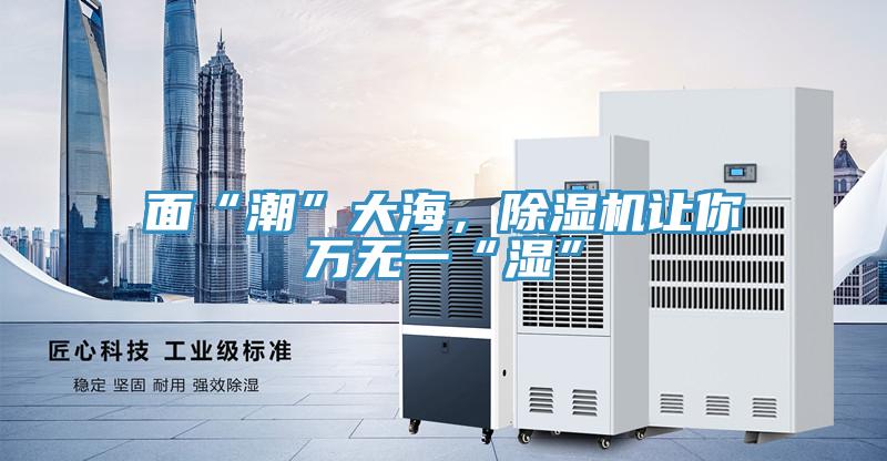 面“潮”大海，除濕機(jī)讓你萬(wàn)無(wú)一“濕”