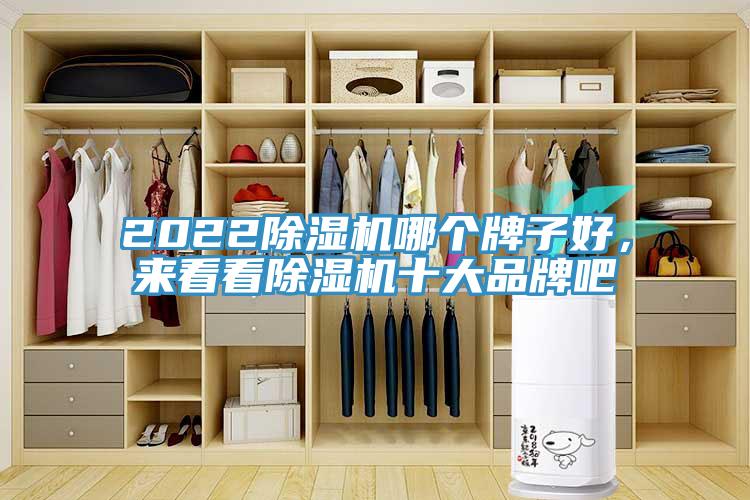 2022除濕機(jī)哪個(gè)牌子好，來看看除濕機(jī)十大品牌吧