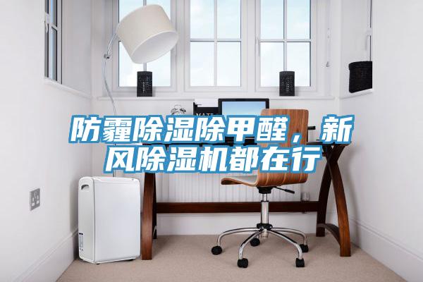 防霾除濕除甲醛，新風(fēng)除濕機都在行