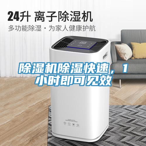 除濕機(jī)除濕快速，1小時(shí)即可見效