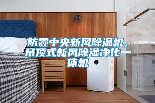 防霾中央新風除濕機，吊頂式新風除濕凈化一體機