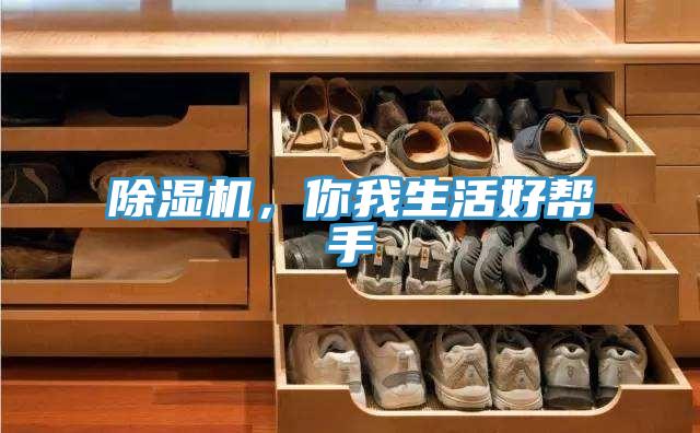除濕機，你我生活好幫手